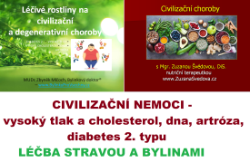 online-prednaska-civilizacni-nemoci-vysoky-tlak-cholesterol-dna-artroza-diabetes