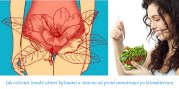 online-přednáška-jak-ovlivnit-zenske-zdravi-bylinami-a-stravou-od-prvni-menstruace-po-klimakterium