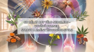 webinar-pohybovy-system-